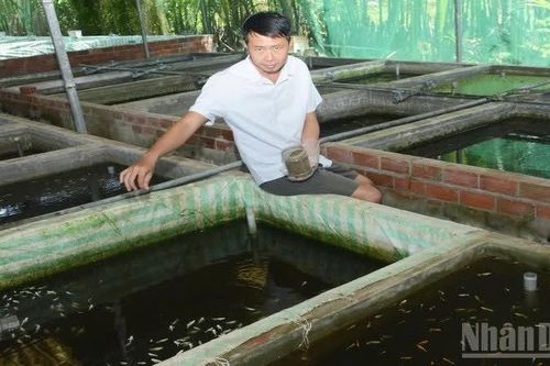 Khấm khá nhờ nuôi cá cảnh