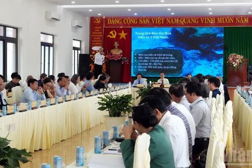 Phát triển Côn Đảo là trách nhiệm với di sản, tài nguyên quốc gia