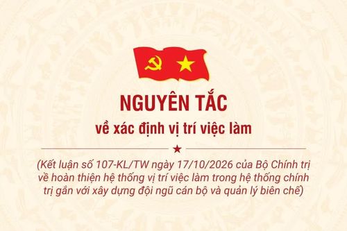 [Infographic] Nguyên tắc về xác định vị trí việc làm