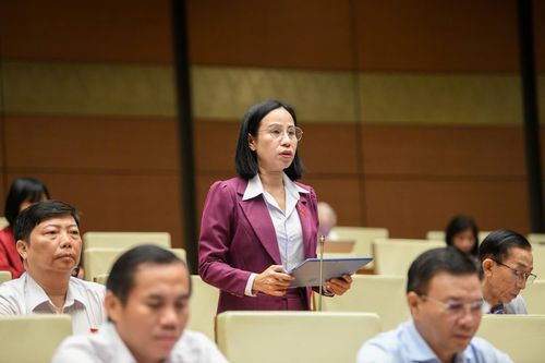Đại biểu Quốc hội: Công khai thông tin trên nền tảng số cần theo hướng dễ tìm, dễ hiểu, dễ kiểm chứng