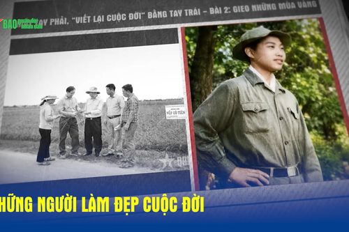 Những người làm đẹp cuộc đời