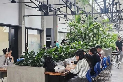 [VIDEO] Coworking ở TPHCM hút khách, giá từ 25.000 đồng