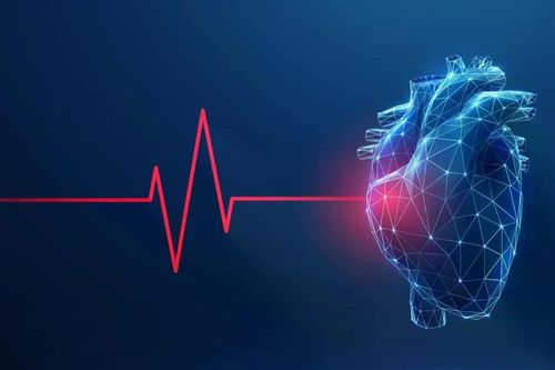 Tập thể dục không chỉ giúp tim khỏe mạnh mà còn tái cấu trúc tim
