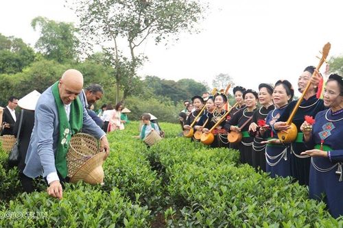 Đoàn Ngoại giao trải nghiệm văn hóa trà Thái Nguyên