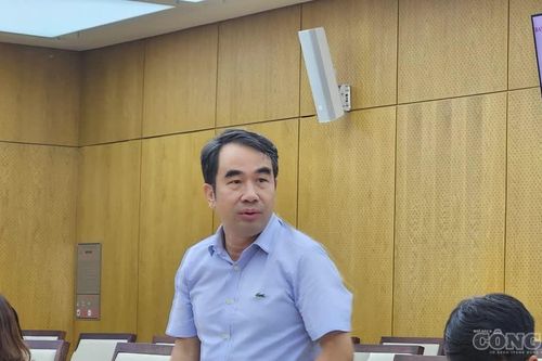Hải Phòng bàn giao công viên, cây xanh vườn hoa cho cấp phường quản lý