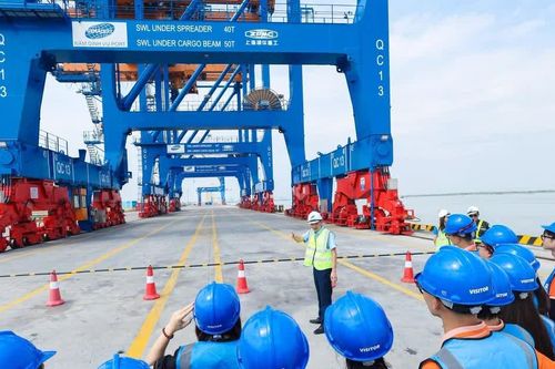 Đại học 'bội thu' bằng giỏi, xuất sắc khiến chuyên gia đặt câu hỏi về năng lực thật