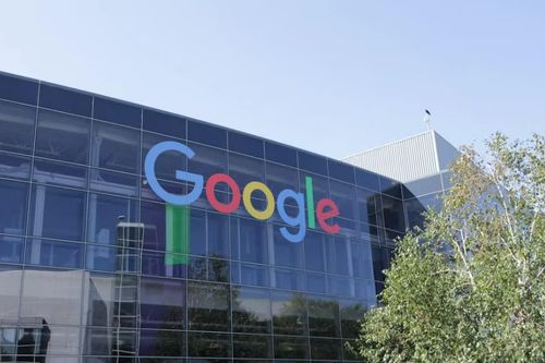 Phần Lan điều tra hình sự vụ phá rừng để xây dựng trung tâm dữ liệu Google