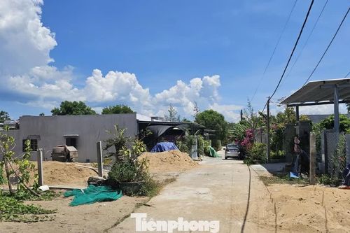 Đắk Lắk lập đoàn kiểm tra vụ xây cả 'khu dân cư' trái phép trên đất rừng trồng