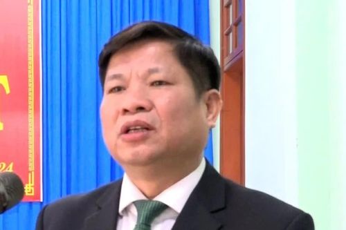 Chiêu 'bật đèn xanh' để nhà thầu nâng khống giá trị hợp đồng cây xanh của 3 nguyên Chủ tịch huyện ở Quảng Trị