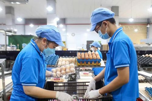 Tiếp sức cho doanh nghiệp