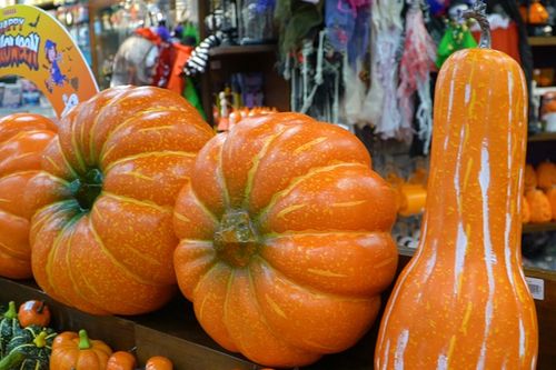 Bí ngô khổng lồ giá hơn một triệu đồng/quả hút khách mùa Halloween