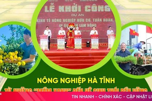 Nông nghiệp Hà Tĩnh (bài cuối): Kiến tạo động lực, nâng cao giá trị gia tăng