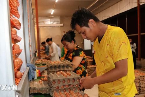 Kinh tế tư nhân của tỉnh Vĩnh Long trước cơ hội phát triển mới