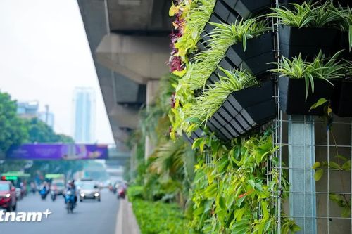 Nền tảng dữ liệu lớn và AI: Trục xương sống trong quản lý môi trường hiện đại