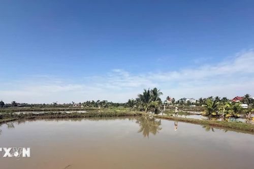 Về Lễ hội Rươi xã Vĩnh Thuận thưởng thức sản vật nổi tiếng của vùng đất phù sa