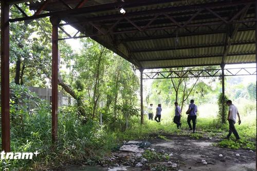 TP Hồ Chí Minh thu hồi trên 2.800m2 đất công qua vụ án dân sự công ích đầu tiên