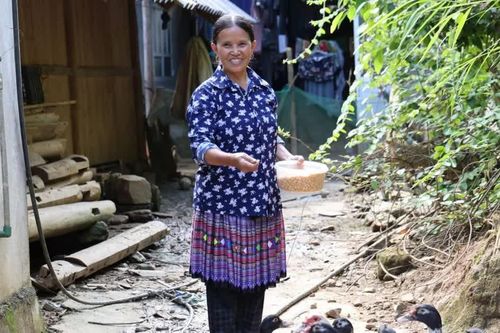 Quỹ Vì Tầm Vóc Việt thúc đẩy tài chính cho bình đẳng giới cùng UN Women
