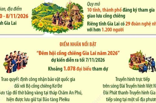 Gia Lai tổ chức chuỗi sự kiện Festival cồng chiêng-Tuần lễ Hoa Dã quỳ năm 2026