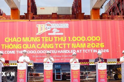Cảng Tân Cảng-Cái Mép Thị Vải ba năm liên tiếp đạt mốc 1 triệu TEU