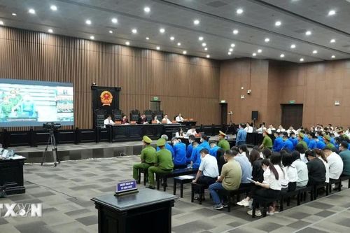 Vụ án Mr Pips: Nhóm chat 'bí mật' trợ giúp Mr Pips lừa đảo gần 1.560 tỷ đồng