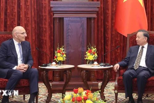 Tổng Bí thư, Chủ tịch nước Tô Lâm tiếp Đặc phái viên Tổng thống Azerbaijan
