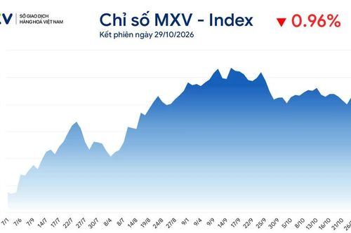 Sắc đỏ bao trùm thị trường hàng hóa, MXV-Index giảm 28 điểm