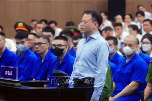 Vụ án Mr Pips: Shark Bình thừa nhận sai phạm trong hành vi 'rửa tiền'