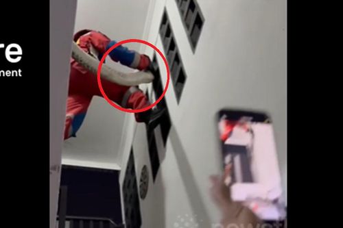Nửa đêm, người dân phát hiện cảnh tượng 'nổi da gà' trong nhà