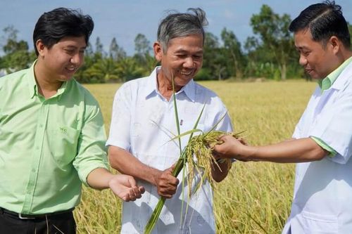 Hàng tồn kho của PAN vượt 4.300 tỷ đồng