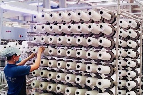 Nhựa Tân Đại Hưng bị phạt vì 'vênh' số liệu lợi nhuận hơn 4 tỷ đồng