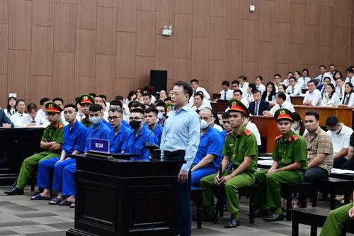Shark Bình: "Bị cáo biết là có tội, phải đi tù"