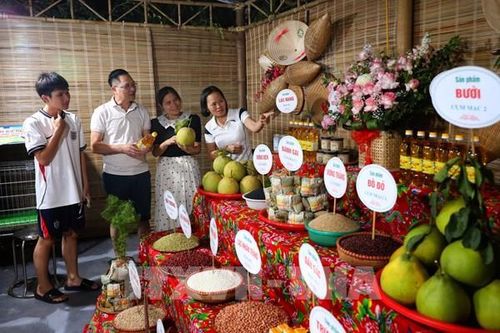 Lễ hội Ẩm thực Yên Thế năm 2026: Tôn vinh đặc sản và bản sắc văn hóa