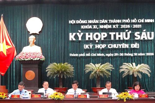 TP.HCM dành hơn 16 tỷ đồng/năm hỗ trợ lao động làm việc ở nước ngoài