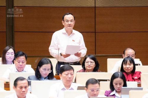 Đại biểu Quốc hội: Mã định danh bất động sản không phải điều kiện mới để giao dịch hợp pháp