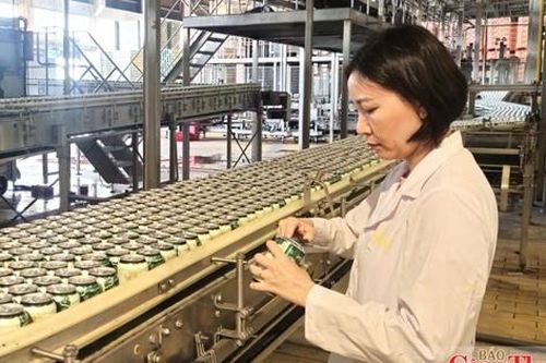 Nghệ An: Doanh nghiệp chú trọng bảo đảm an toàn thực phẩm trong sản xuất đồ uống