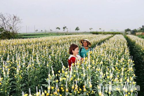 Yên Trường thi đua báo công dâng Bác