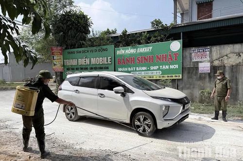 Tạo đà phát triển chăn nuôi những tháng cuối năm