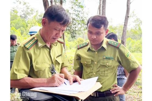 Phú Quốc rà soát 377 trong tổng số 699 vụ vi phạm đất rừng