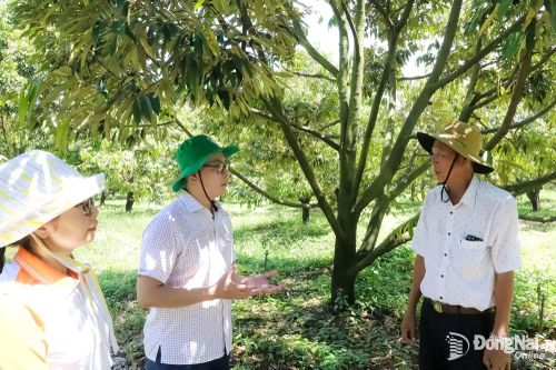 Thanh Sơn xây dựng thương hiệu nông sản thế mạnh