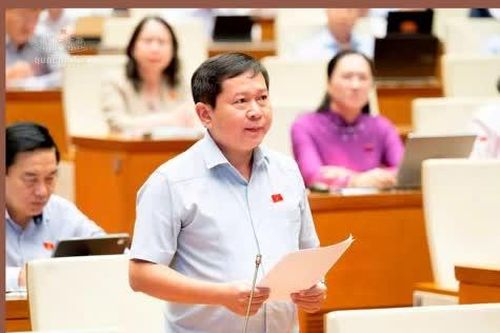 Đại biểu Quốc hội tỉnh Đồng Tháp thảo luận về tình hình phát triển kinh tế - xã hội