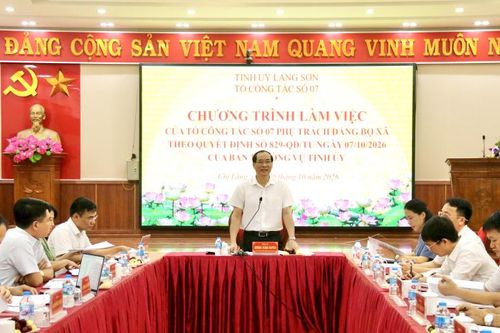 Tổ công tác số 7 của Ban Thường vụ Tỉnh ủy làm việc với các xã khu vực Chi Lăng