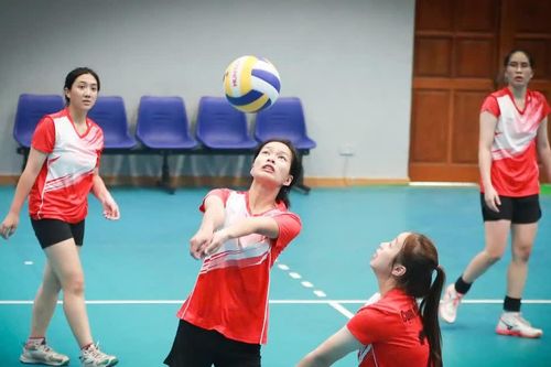 Đại hội Thể dục, thể thao tỉnh Lào Cai: Xác định hai đội bóng chuyền nữ vào chung kết