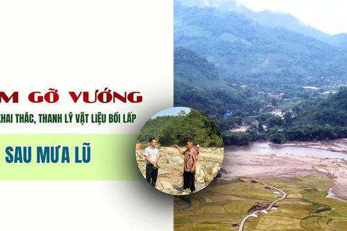 Sớm gỡ vướng trong khai thác, thanh lý vật liệu bồi lấp sau mưa lũ