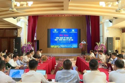 Bàn giải pháp phát triển kinh tế từ công nghệ số