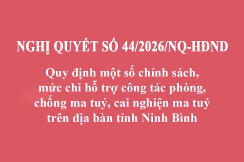 Quy định một số chính sách, mức chi hỗ trợ công tác phòng, chống ma tuý, cai nghiện ma tuý trên địa bàn tỉnh Ninh Bình