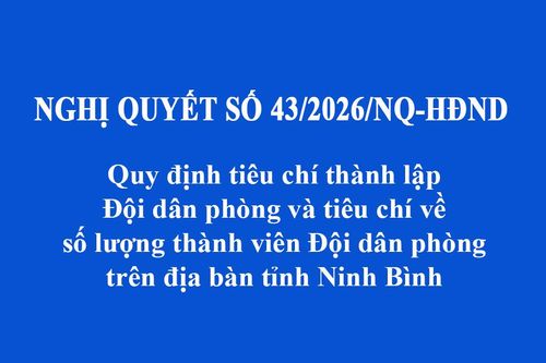 Ninh Bình: Quy định tiêu chí thành lập Đội dân phòng và tiêu chí về số lượng thành viên