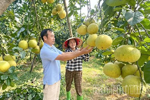 Phú Thọ có trên 100 sản phẩm chủ lực được bảo hộ quyền sở hữu trí tuệ