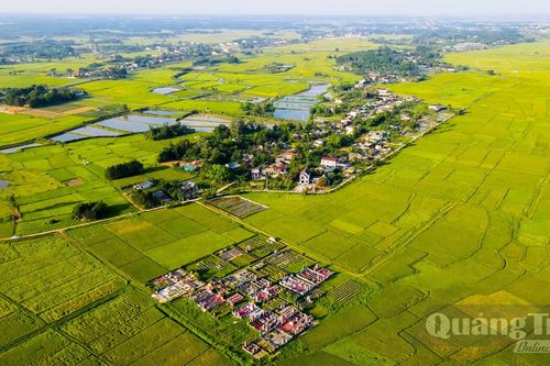 Từ cánh đồng lớn đến vùng sản xuất xanh