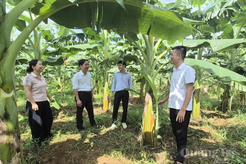 Nhạy bén phát triển cây trồng mới
