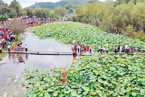 Khám phá hồ sen Hua Nhàn